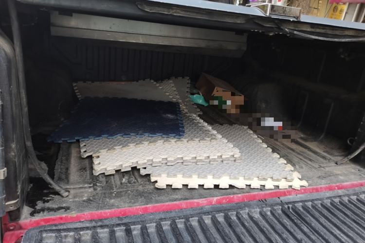 Used Great Wall Poer 2019 2.0T Automatic Gasoline 4x4 Premium Edition GW4C20B
