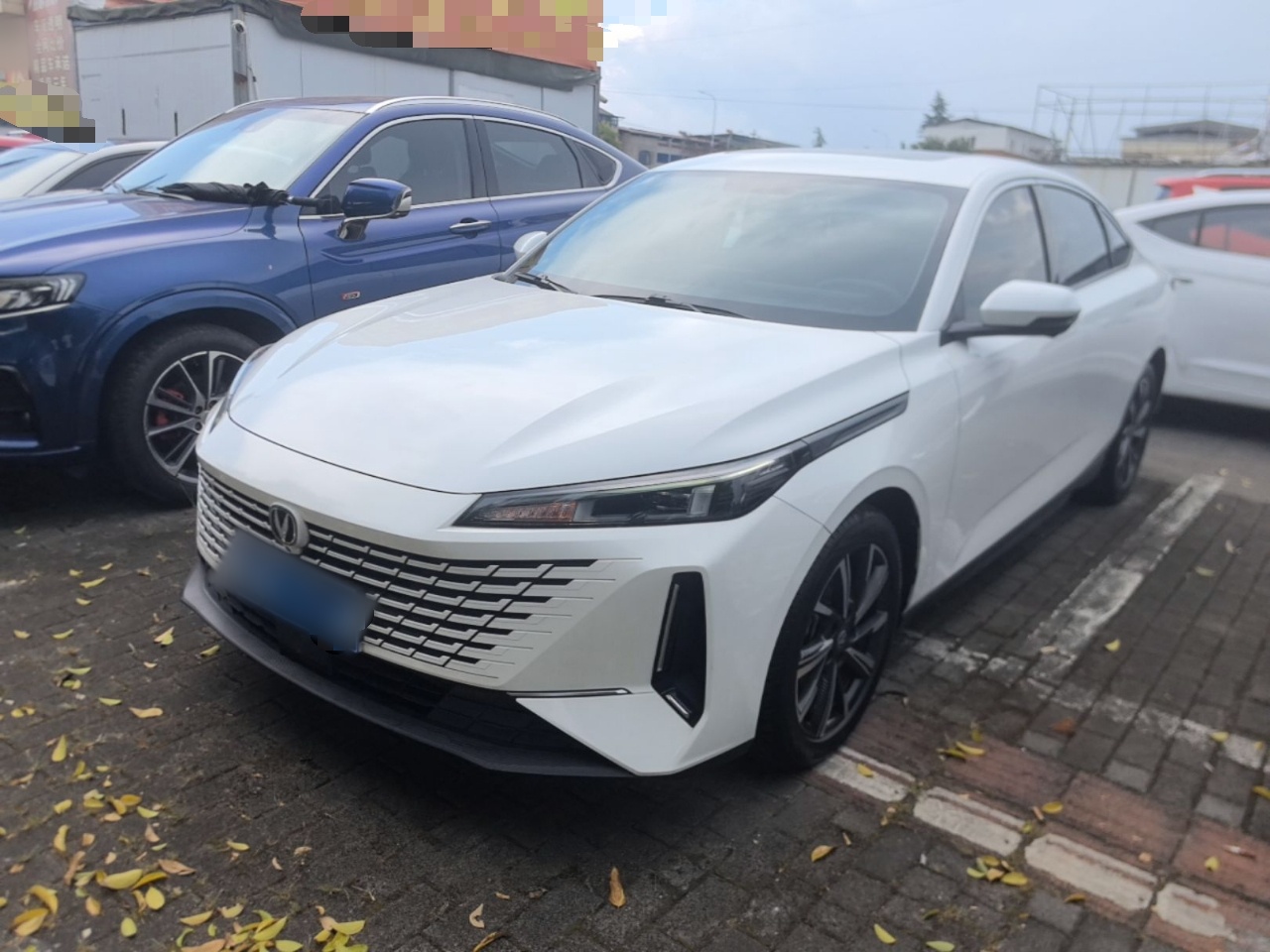 Under Front Bumper
