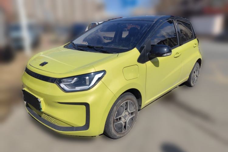 Used SOL E10X 2022 Flower Fairy Design Four-Leaf Clover