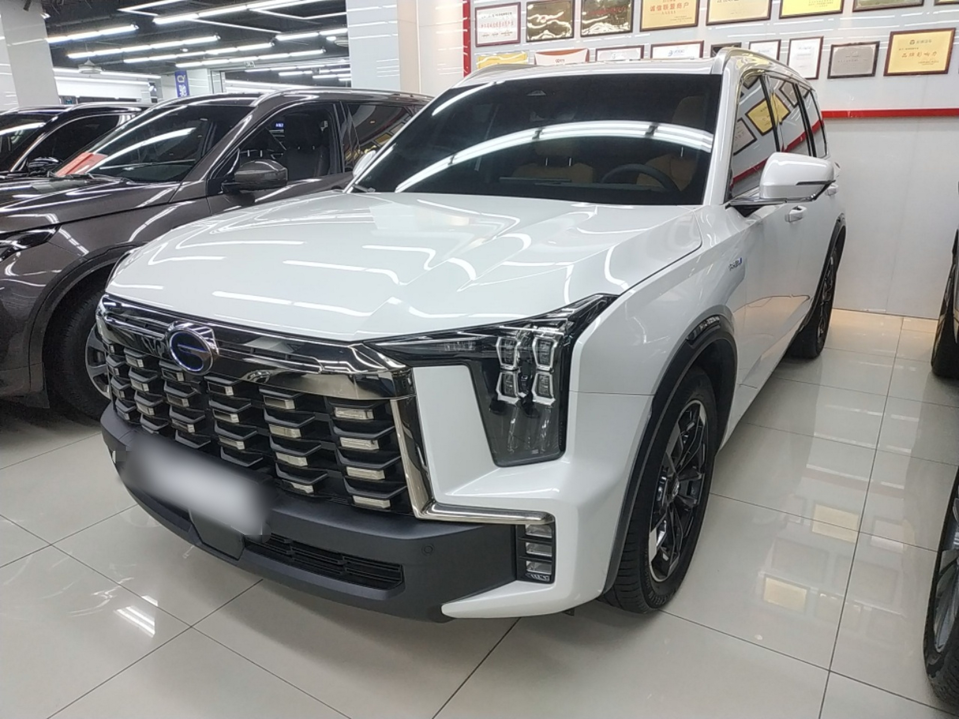 Parte inferior delantera