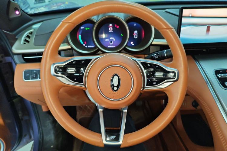 Used ORA Lightning Cat 2022 555 km Luxury Edition