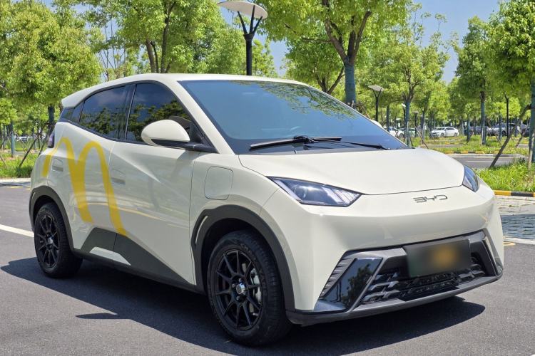 Used BYD Seagull 2023 Active Version
