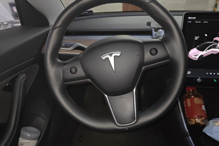 Used Tesla Model 3 2019 Standard Range Rear-Drive Upgraded Version