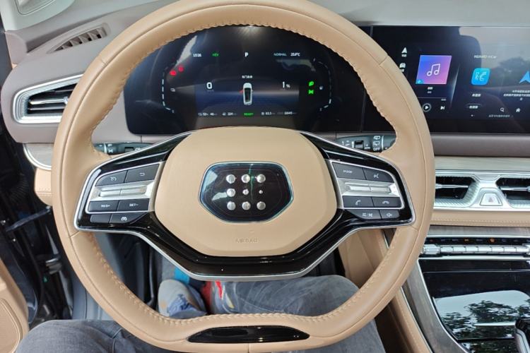 Used Landian E5 2024 Honor Edition 100KM Premium Model 5 Seats