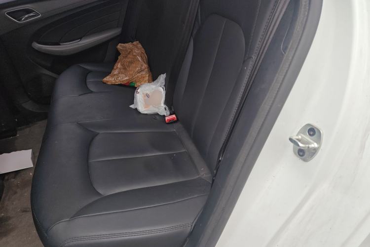 Used Roewe Ei5 2020 Luxury Edition Left Rear Seat