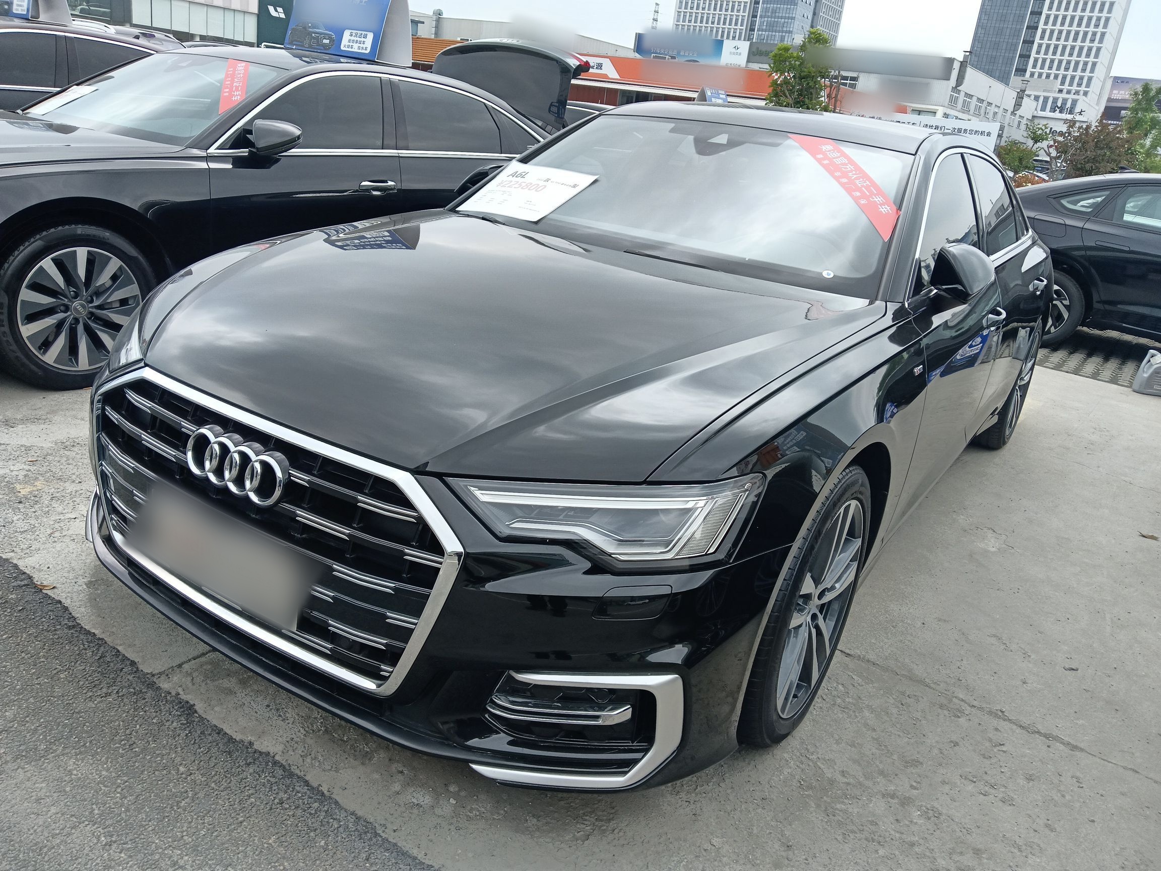 Parte inferior delantera