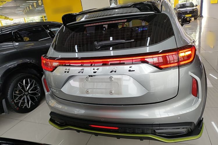 Used Haval LHERY 2021 High-Performance Version 1.5T Golden Rabbit Rear