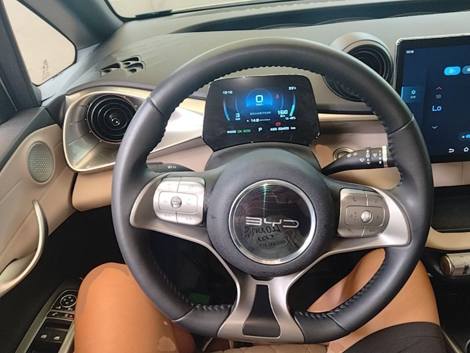 BYD Dolphin 2021 405 km Fashion Edition — снимка 13