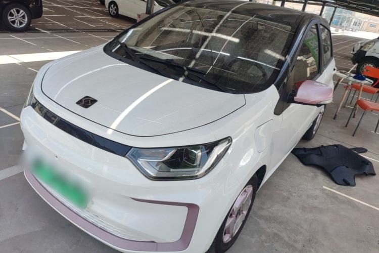 Used SOL E10X 2022 Flower Fairy Design Sunflower