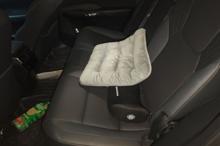 Used Lexus RX 2023 350h Two-Wheel Drive Enjoyment Version Left Rear Seat