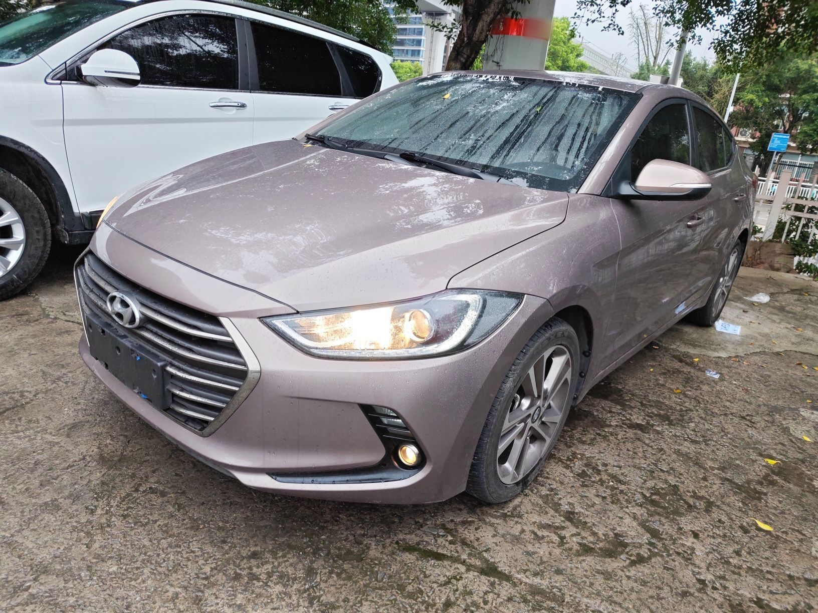 تحت مقدمة السيارة