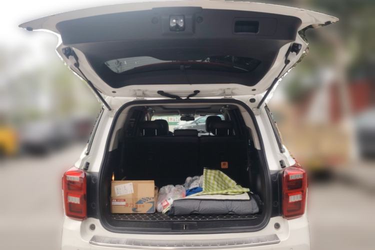 Used GAC Trumpchi GS8 2017 320T Two-Wheel Drive Luxury Smart Connectivity Version (7 Seats)
