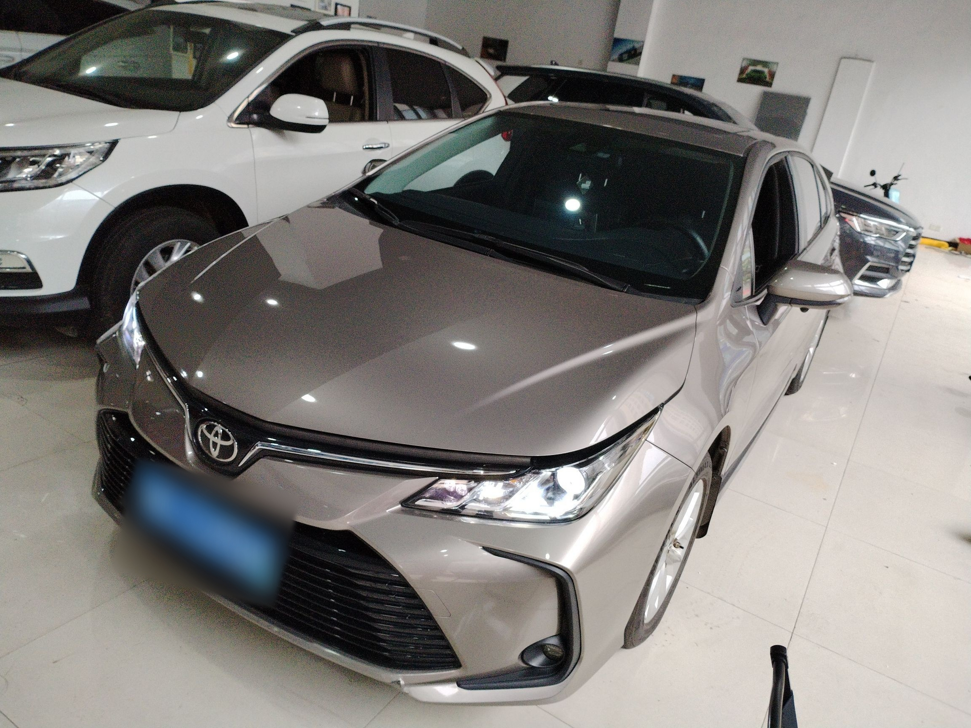 Parte inferior delantera