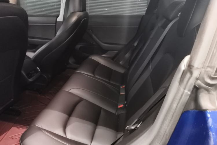 Used Tesla Model 3 2019 Standard Range Rear-Drive Upgraded Version Left Rear Seat