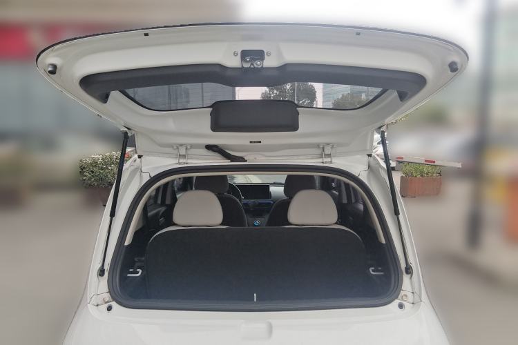 Used ORA White Cat 2020 305 km Luxury Version
