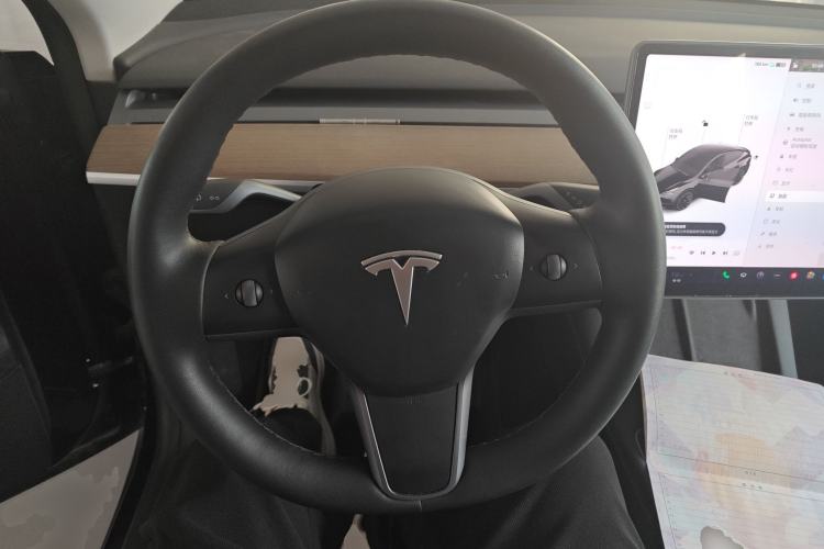 Used Tesla Model Y 2021 Standard Range Rear-Wheel Drive Version
