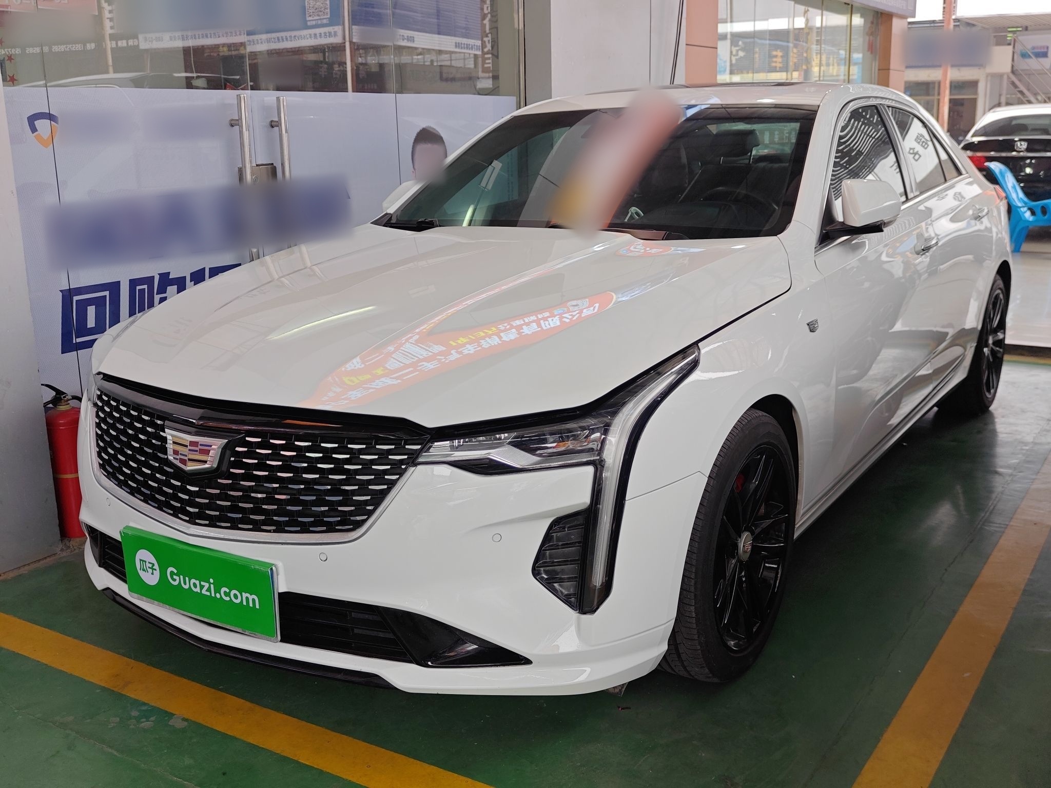 تحت مقدمة السيارة