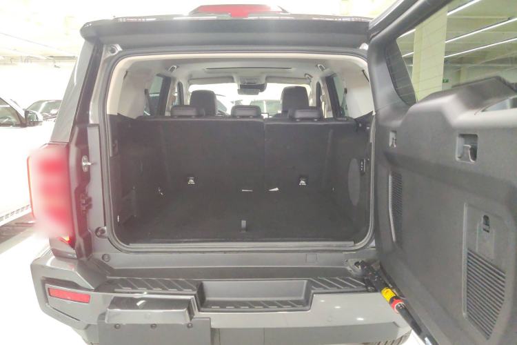 Used Tank 400 2025 2.0T Gasoline Version
