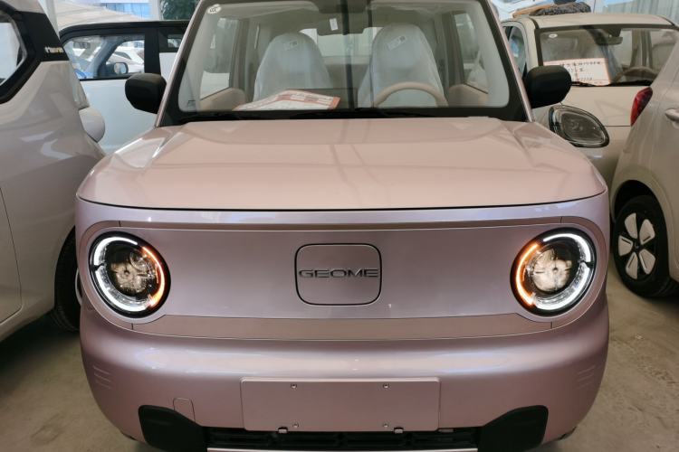 Used Geely Galaxy Panda 2024 Panda Mini 200km Endurance Bear
