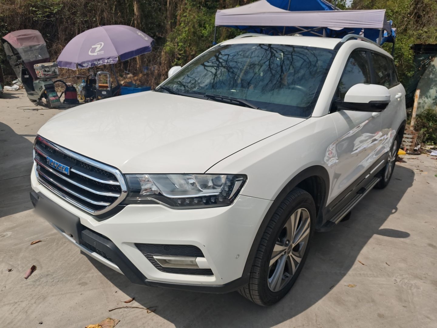 Parte inferior delantera