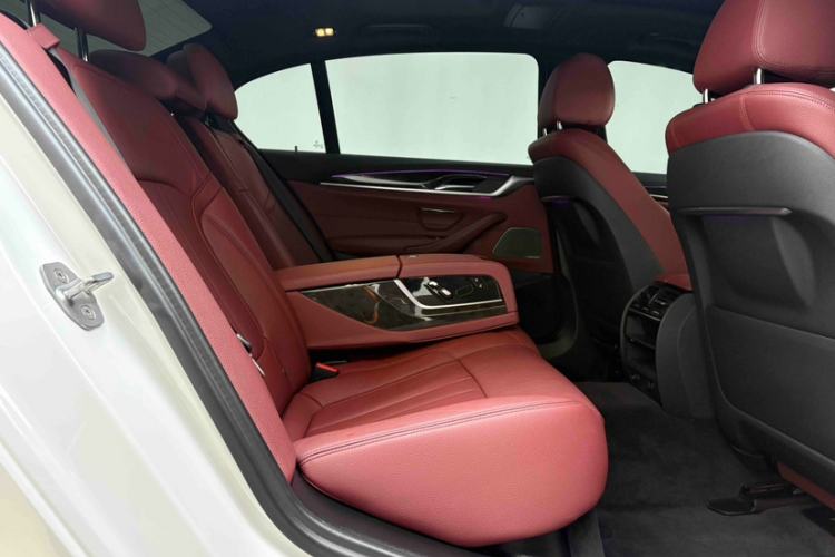 Used BMW 5 Series 2019 530Li Leading Model M Sport Package
