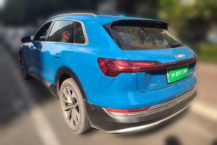 Used Audi e-tron 2019 55 quattro Global Limited Edition Edition 1 Rear Left 45 Deg