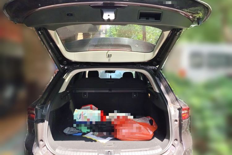 Used EXEED Lingyun 2019 1.6T Two-Wheel Drive Star曜 Edition