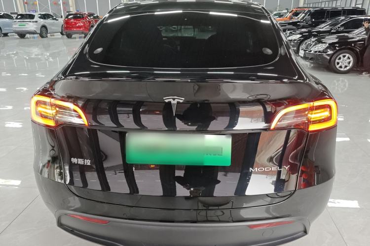 Used Tesla Model Y 2021 Standard Range Rear-Wheel Drive Version
