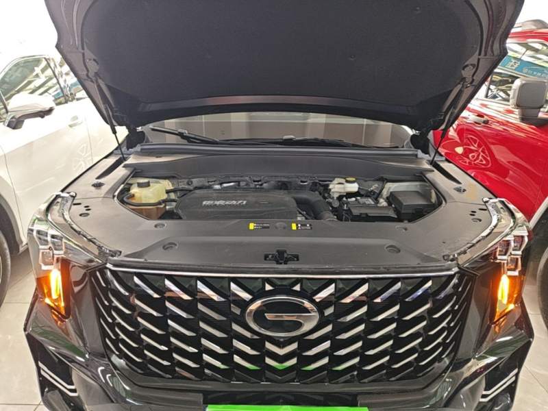 Used GAC Trumpchi GS8 2025 Linghang Series 2.0 TGDI Two-Wheel-Drive Luxury Edition 5 Seats — 19