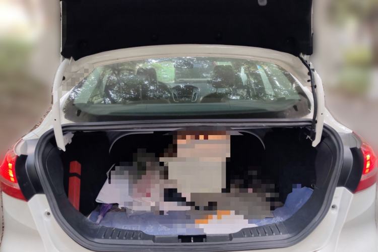 Used Ford Focus 2018 Sedan Classic 1.6L Automatic Trendy SmartDrive Edition Trunk