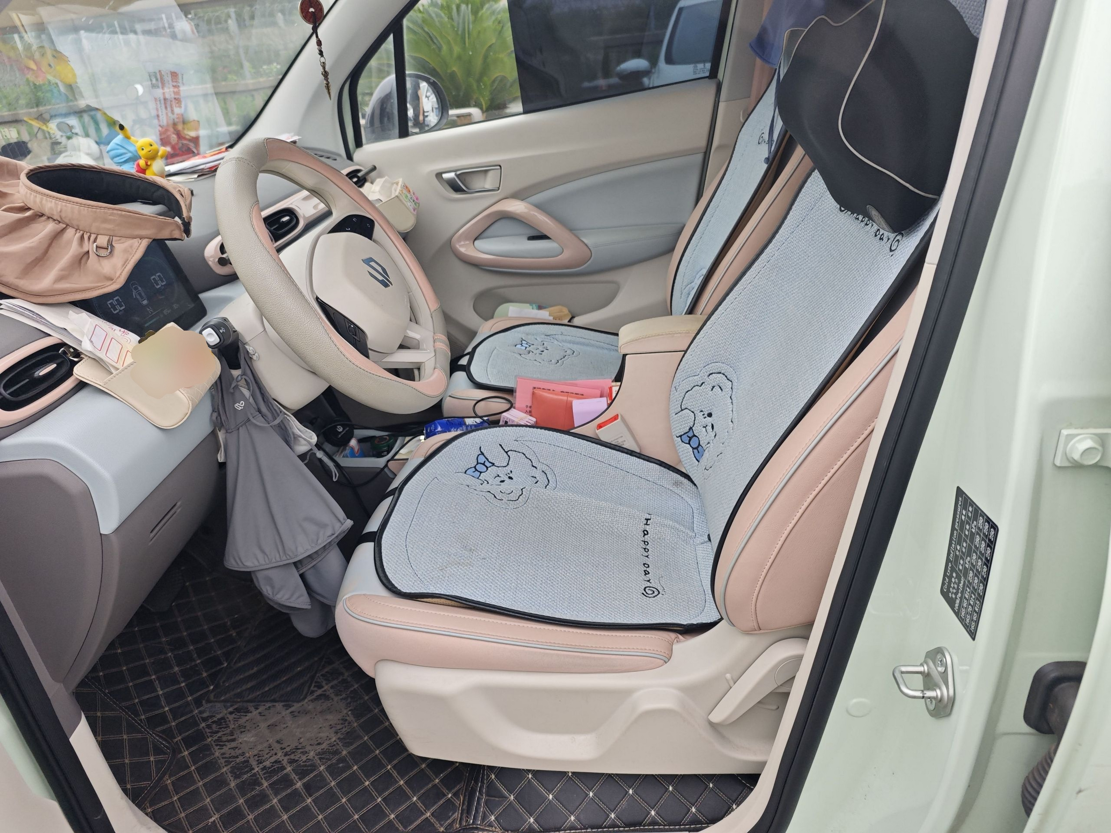 Interior delantero