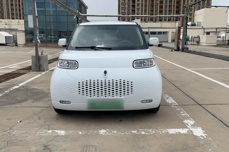 Used ORA White Cat 2022 Upgraded Model 305km Range Luxury Version Lithium-Ion Battery