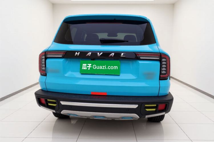 Used Haval DARGO 2022 2.0T DCT 4x4 Chinese Rural Dog Edition Rear