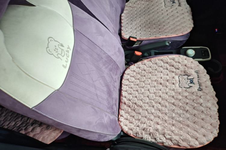 Used Chery QQ Ice Cream 2024 Edition Youth Version 205km Sundae Right Front Seat