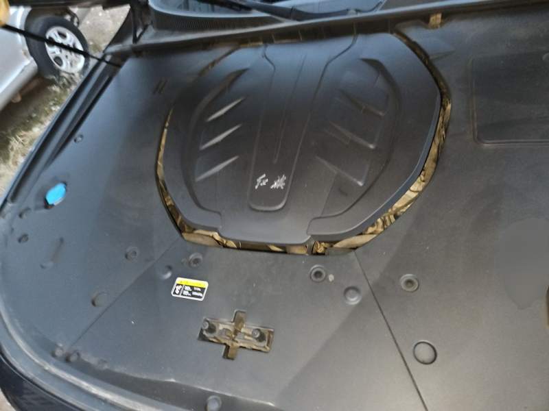 Used Hongqi H9 2020 3.0T Smart Connect Flagship Edition — 16
