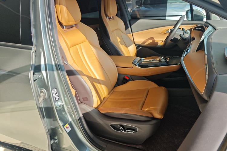 Used AION LX 2019 80D Max
