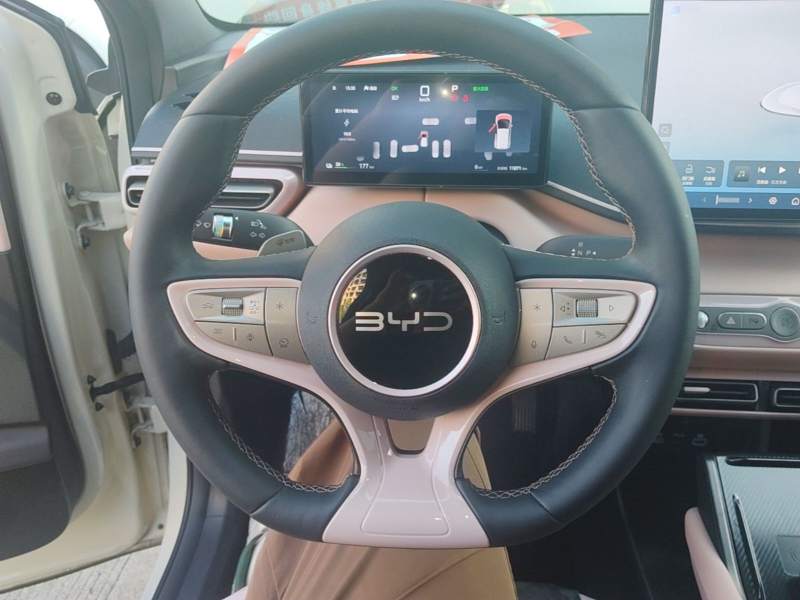 Used BYD Seagull 2025 Smart Drive Version 305 km Freedom Edition — 10
