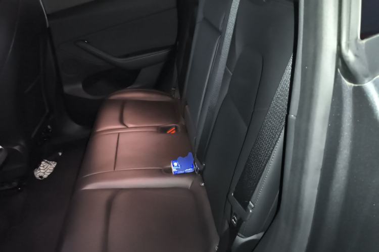 Used Tesla Model Y 2021 Standard Range Rear-Wheel Drive Version Left Rear Seat