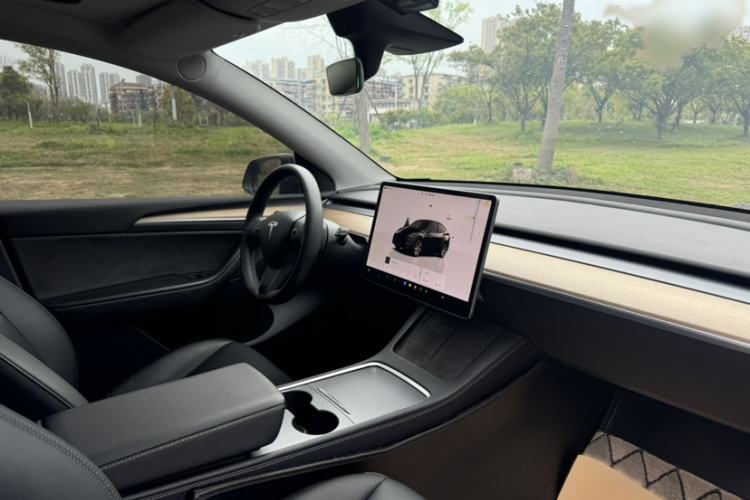 Used Tesla Model Y 2022 Rear-Wheel-Drive Version