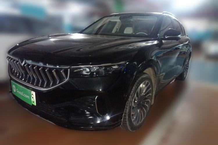 Used VOYAH FREE 2021 Two-Wheel Drive Standard Pure Electric City Edition