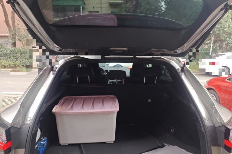 Used Lexus NX 2023 260 Front-Wheel Drive Chuanchi Edition