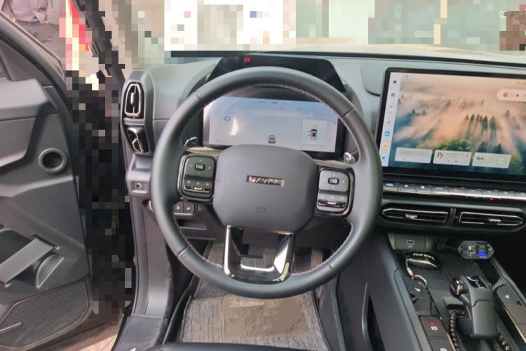 Used Haval H Dog 2023 1.5T Two-Wheel Drive Chao Ye Version Plus