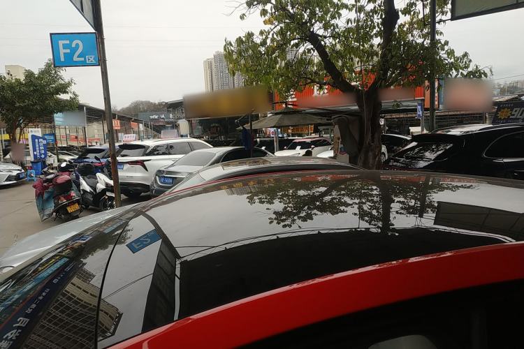 Used Tesla Model Y 2024 Rear-Wheel-Drive Version