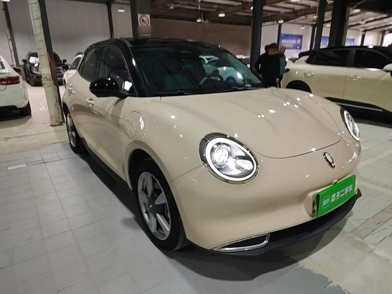Used ORA Good Cat 2023 401 km Standard Range Premium Trim Ternary Lithium — 3