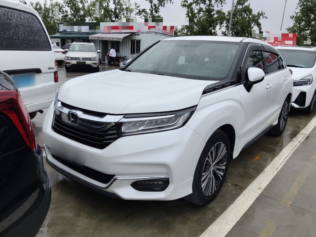 Parte inferior delantera