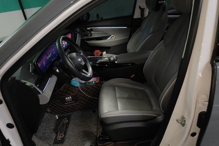 Used Buick E5 2023 Zhenxiang Standard Range Edition Left Front Seat