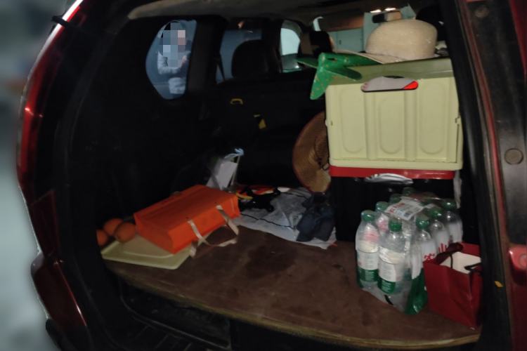 Used Nissan X-Trail 2012 2.5L CVT Luxury Edition 4WD