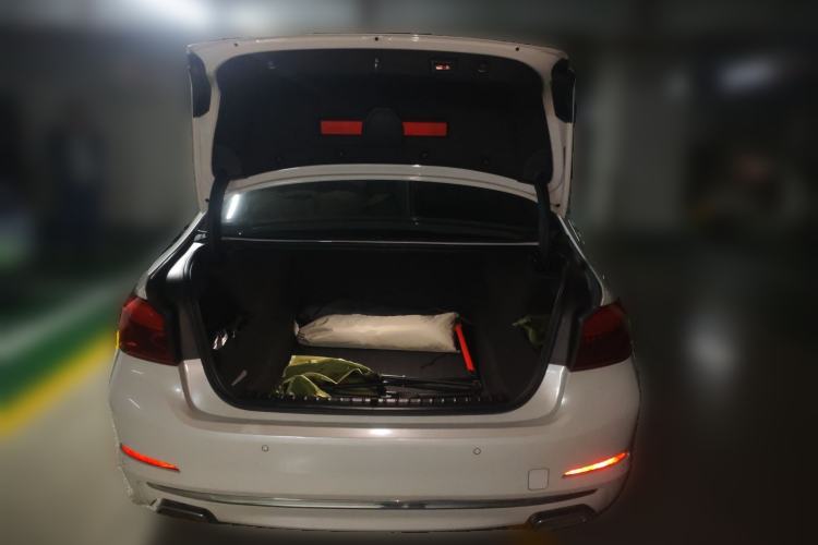 Used BMW 5 Series 2020 530Li Leading Edition Luxury Package
