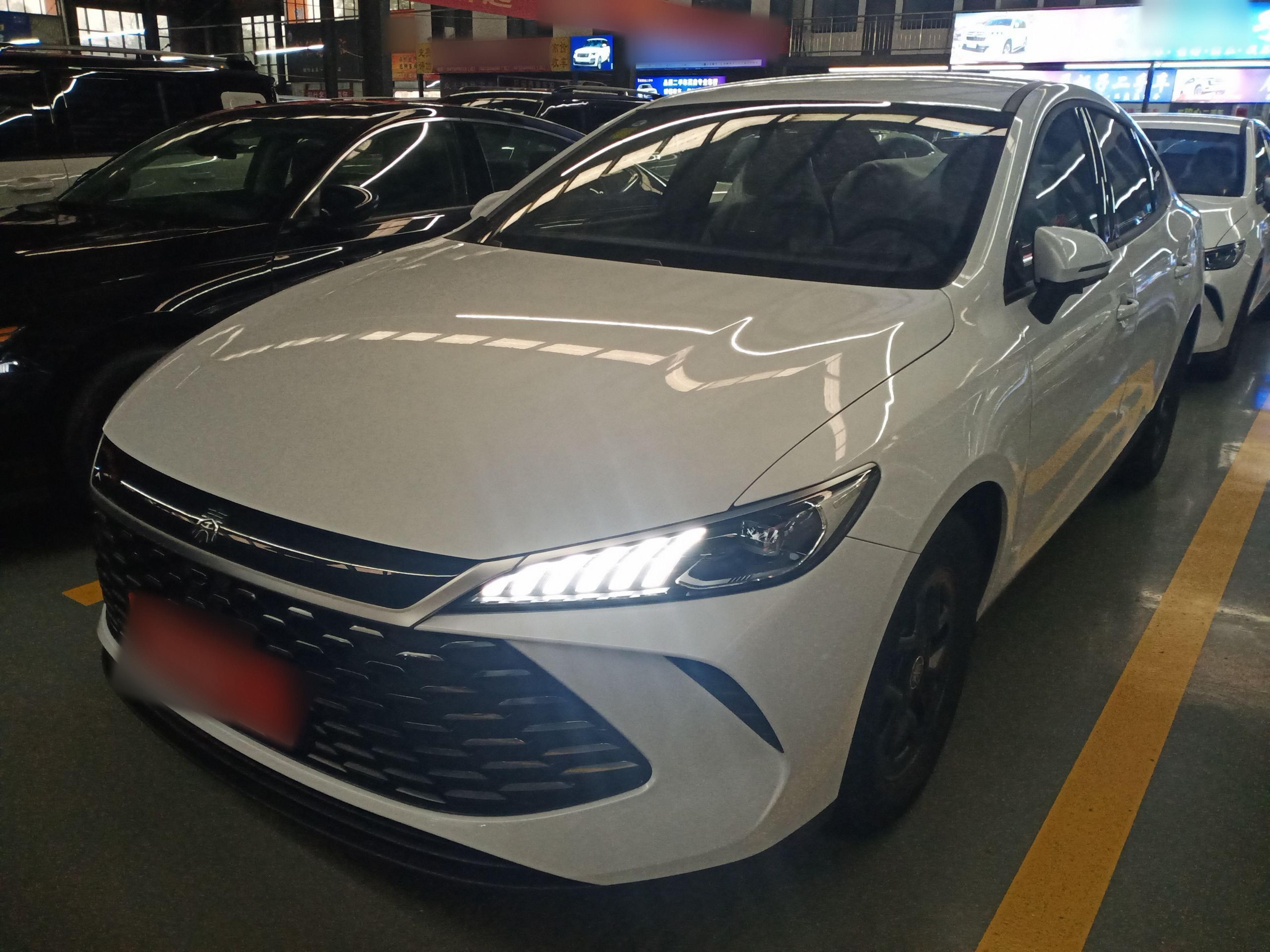 تحت مقدمة السيارة