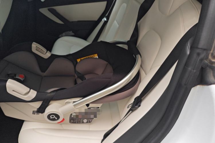 Used Tesla Model 3 (Import) 2019 Long-Range Rear-Wheel-Drive Version
